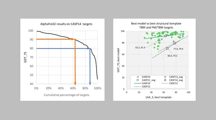 Template-Based Modeling